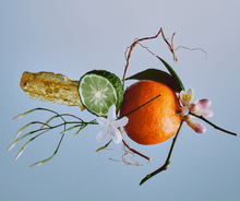 001 Orange Blossom, Petit Grain, Bergamot - 30ml