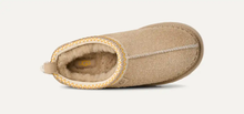 Tasman Biarritz - Mustard Seed