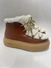 Gaia - Toasted Hazelnut