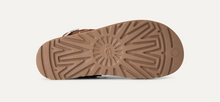 Evelina Clog - Chestnut