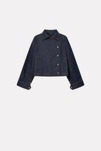 Calypso Blue Denim - Blue Denim