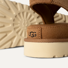Goldenstar - Chestnut