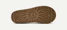Tasman - Chestnut