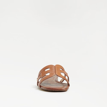 Bay - Saddle Leather